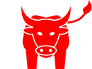 bull